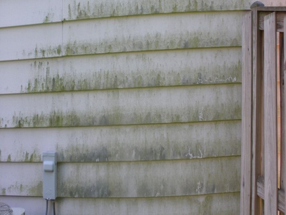Vinyl siding streaked with green algae before soft washing