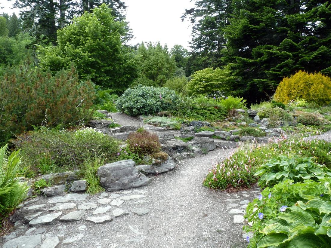 Rock garden with a gravel path